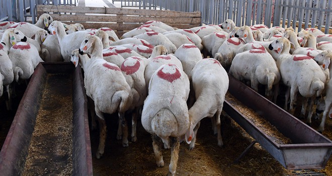 Büyükşehir tedbirleri aldı