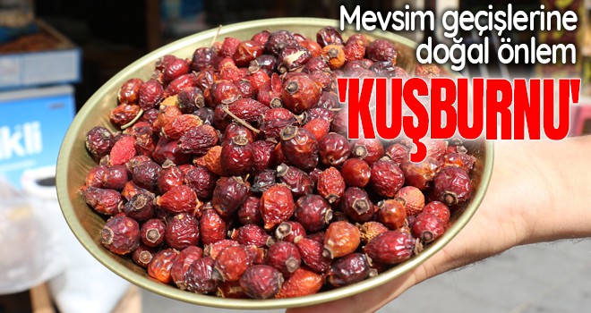 Mevsim geçişlerine doğal önlem 'Kuşburnu'