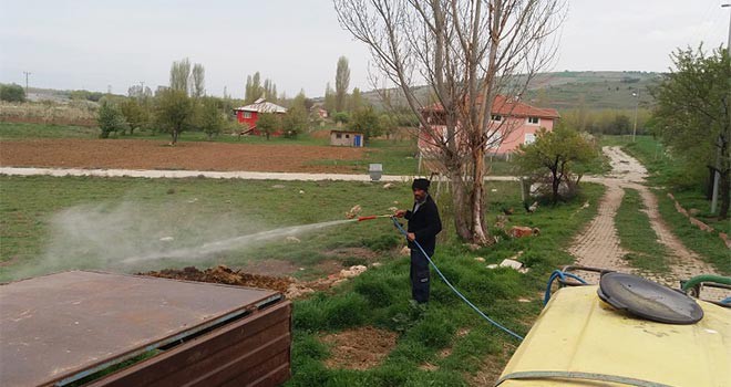 Yalıhüyük Belediyesi larva ilaçlaması yaptı