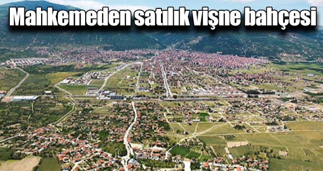 Mahkemeden satılık vişne bahçesi