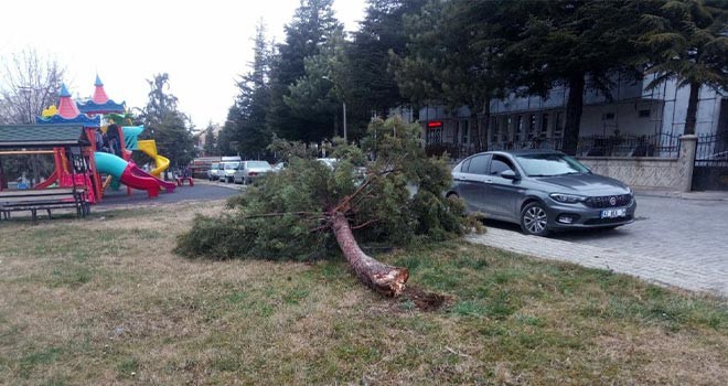 Beyşehir'de şiddetli rüzgar etkili oldu