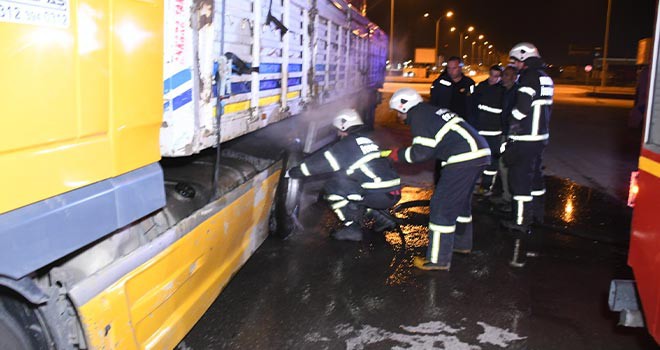 TIR’da çıkan korkuttu