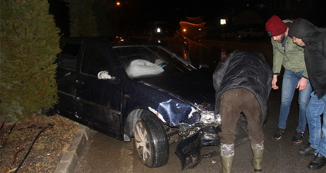 Şiddetli rüzgar ağacı yerinden söktü