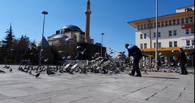 Güvercinlerin yemi Karatay’dan