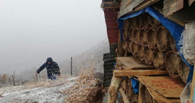 Bal arıları kış uykusuna yattı