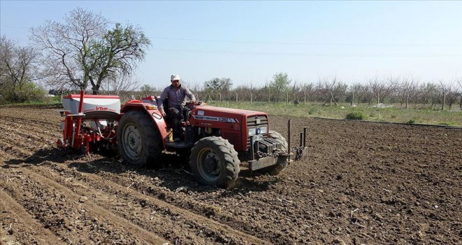 Trakya çiftçisi ürün ekim ve hasatlarını yapıyor