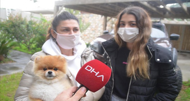 "Köpeği kasıtlı ezmedim"