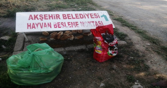 Akşehir Belediyesi sokak hayvanlarını beslemeyi sürdürüyor