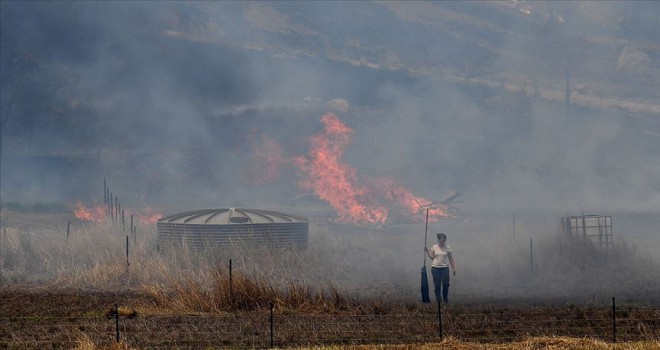 Avustralya’daki yangınların bilançosu artıyor