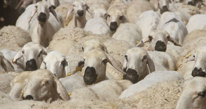 Cuma hutbesinde 'kurbanın önemi' vurgulandı