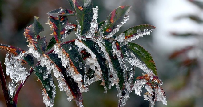 Meteorolojiden 5 il için buzlanma ve don uyarısı