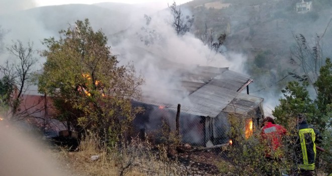 Bahçede yakılan otlar evi yaktı