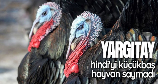 Yargıtay 'hindi'yi küçükbaş hayvan saymadı