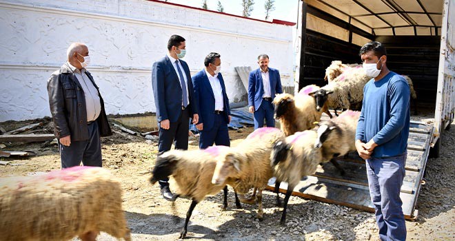 ‘O’ ailenin hüznü sevince döndü