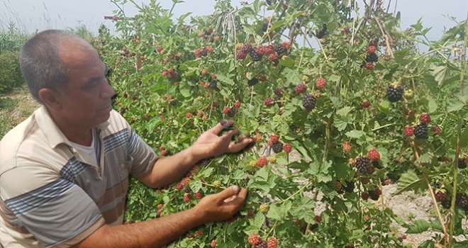 Siparişlere yetişemiyor