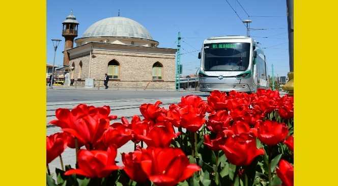 Büyükşehir'den “Çiçek Gibi Konya” Fotoğraf Yarışması