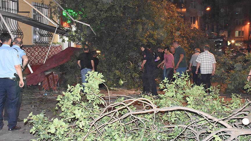 Kadıköy'de ağaç devrildi: 3 yaralı