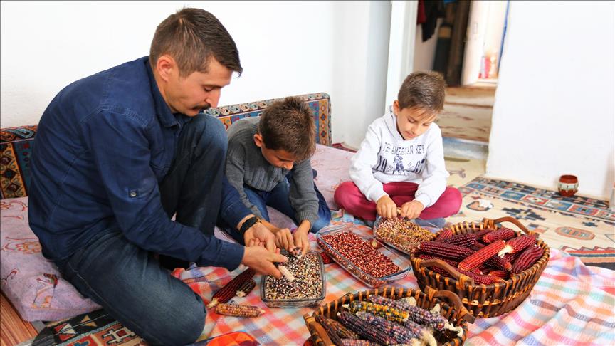 'Rengarenk mısırlar'da talep patlaması