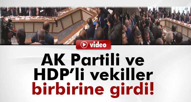 AK Partili ve HDP'li vekiller birbirine girdi