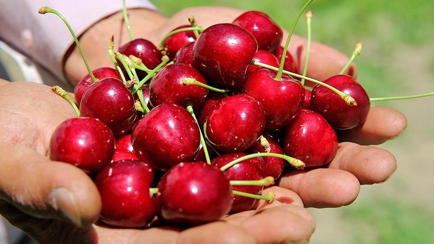 'Türk kirazı' Çin kapısından girdi