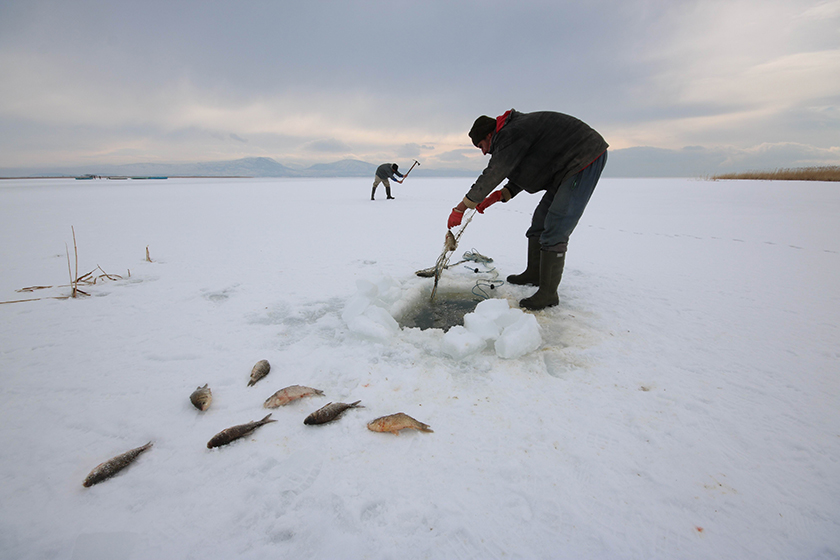 Buz tutan Beyşehir Gölü’nde “Eskimo” usulü balık avı 