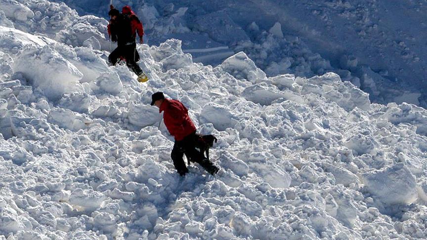 Japonya'da çığ felaketi: 40 yaralı