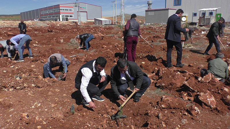 Beyşehir'de ağaçlandırma çalışmaları