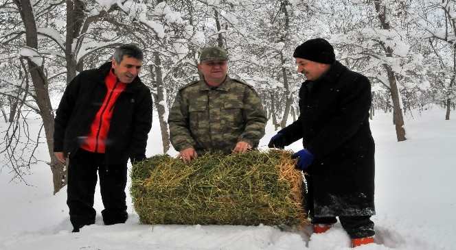 Akşehir'de Yabani Hayvanlara Yiyecek Bırakıldı