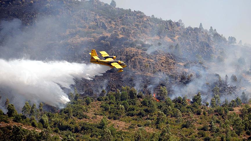 Meteorolojiden 'orman yangını' uyarısı