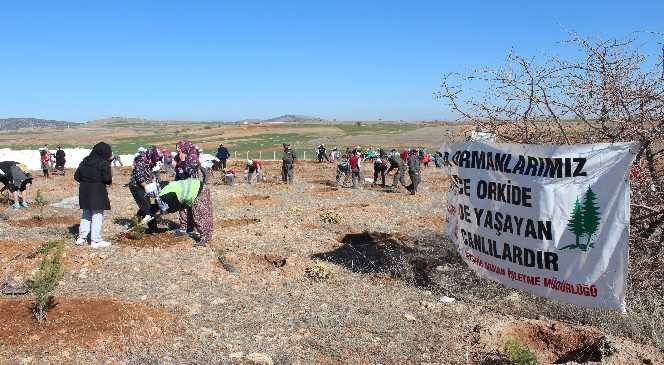 Beyşehir OSB'de Fidan Dikimi