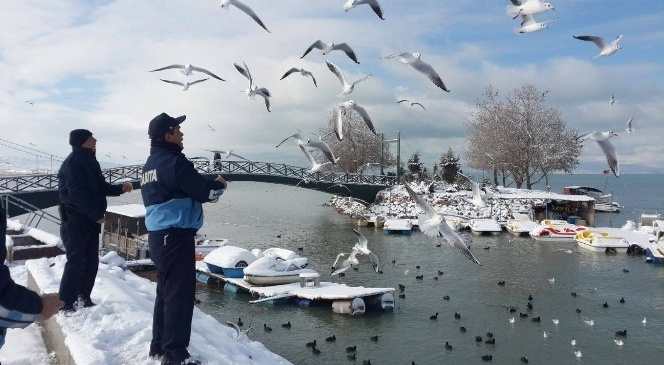 Beyşehir'de Zabıtadan Su Kuşları İçin ‘Farkındalık' Mesaisi