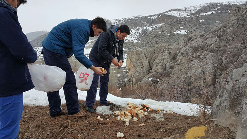 İzciler hayvanlar için doğaya yem bıraktı