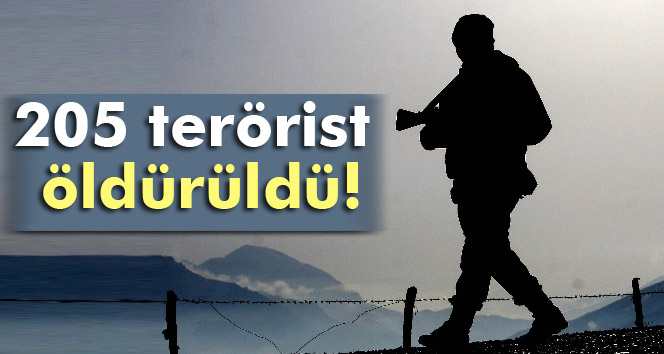 205 Adet PKK Teröristi Öldürüldü