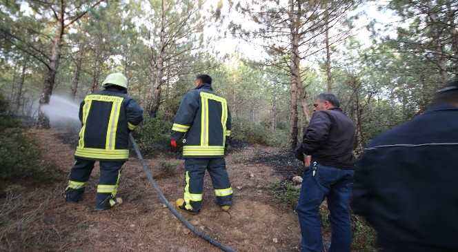 Beyşehir'de Ormanlık Alanda Çıkan Yangın Büyümeden Söndürüldü