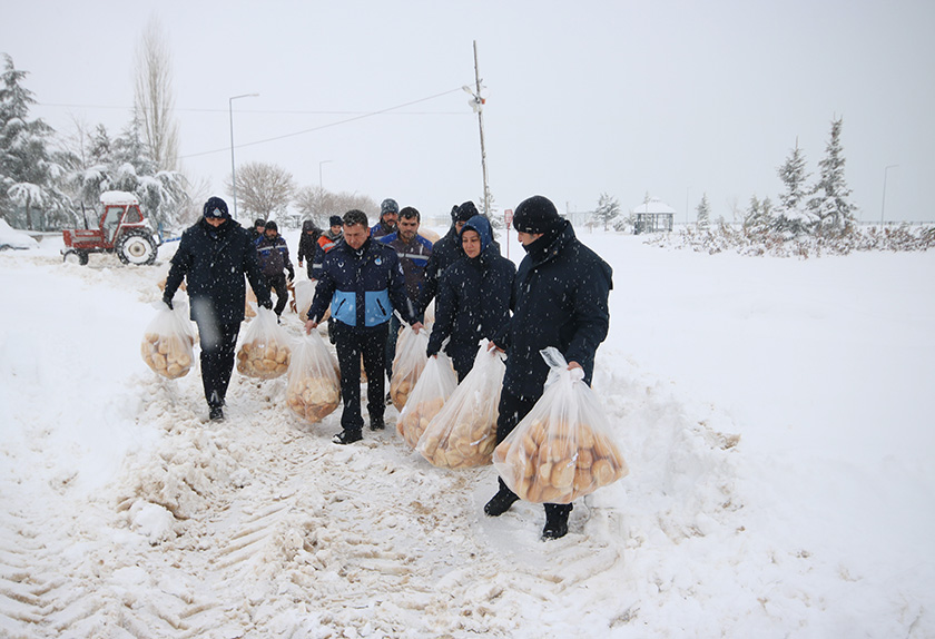 Beyşehir’de sokak hayvanları ve su kuşları unutulmadı