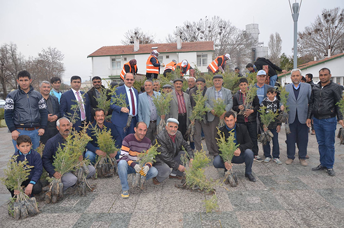 Karapınarda fidan dağıtımı