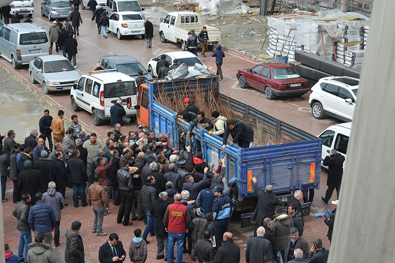 Kulu'da fidan dağıtımı