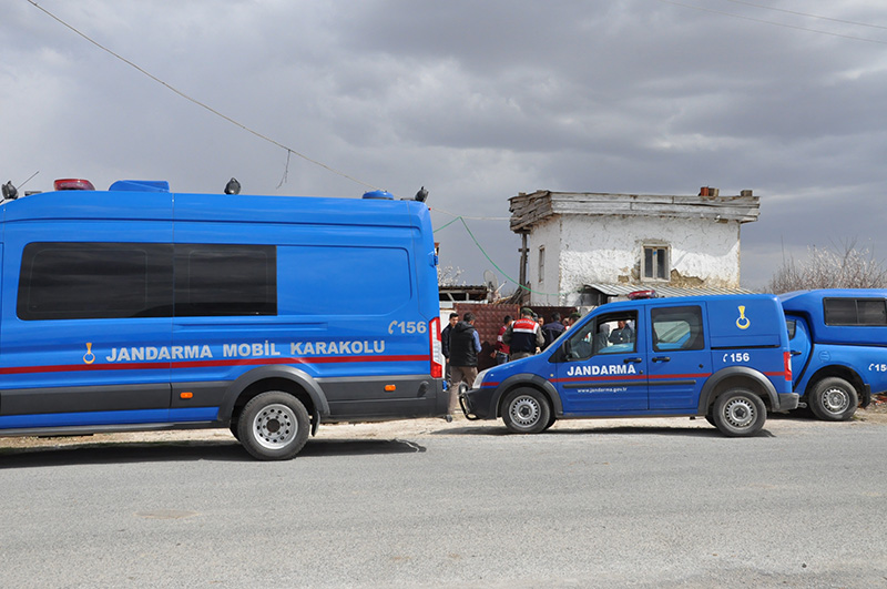 Akşehir'de büyükbaş hayvan hırsızlığı