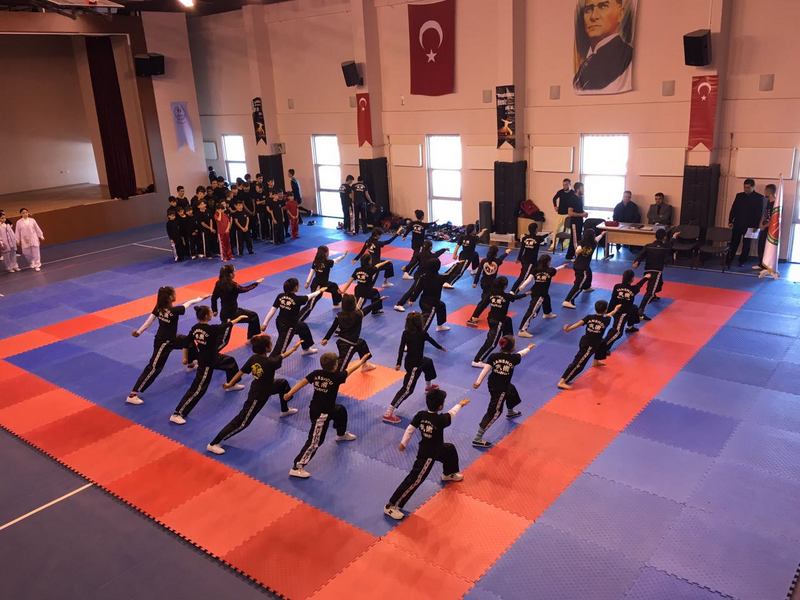 Karapınar'da wushu gösterisi yapıldı