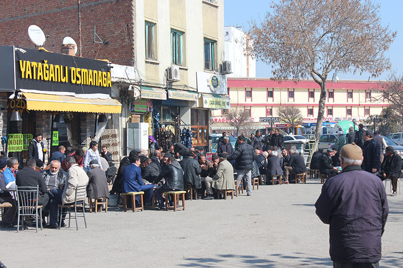 Güneşin tadını çıkarıyorlar!