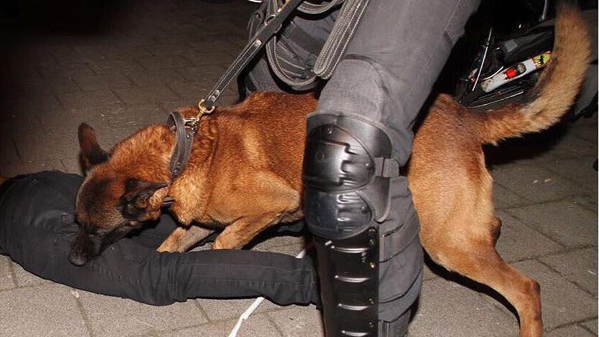 Hollanda'da Türklere polis köpekleriyle müdahale