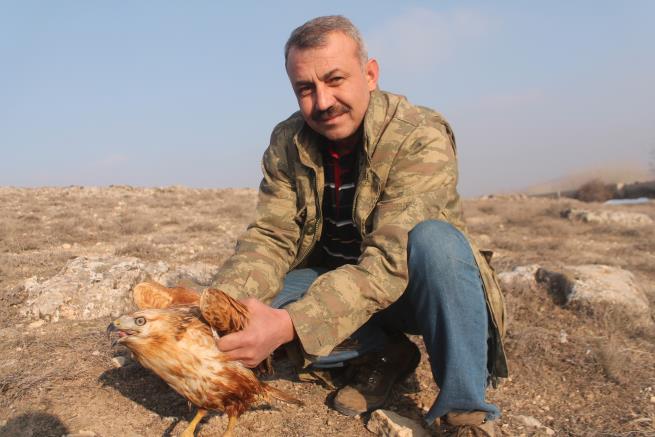 Açlıktan ölmek üzereyken bulunan şahin doğaya bırakıldı