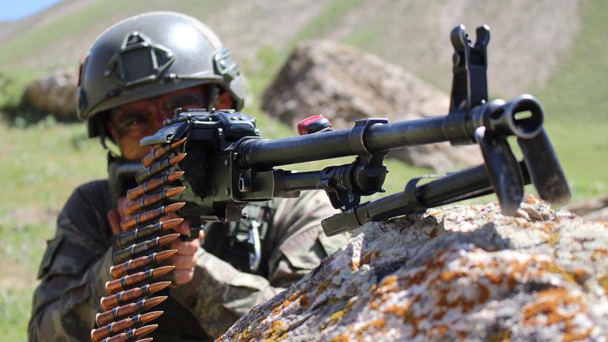 Şırnak'ta 2 PKK'lı terörist etkisiz hale getirildi