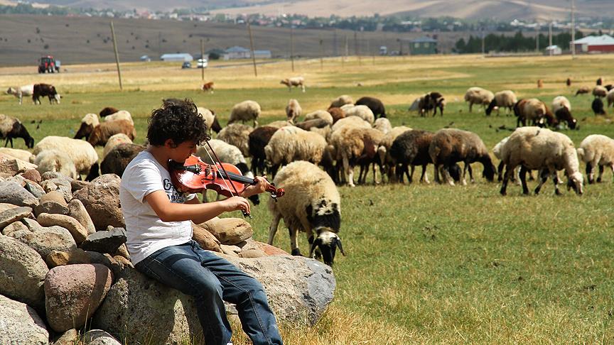 Tatillerde çobanlık yapan Nesimi'nin konservatuvar hayali