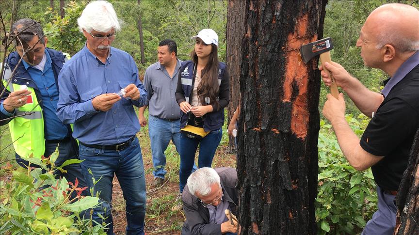 TİKA'dan Meksika ve Honduras'a yardım