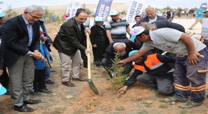 Selçuklu'da 10 Bin Fidan Toprakla Buluştu