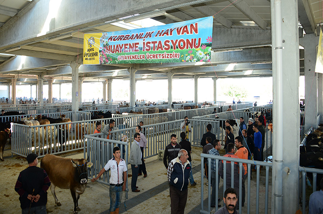 Büyükşehir Kurban Bayramı’na hazır