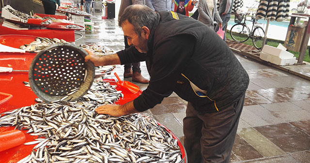 Balık ‘üşümeyi’ bekliyor