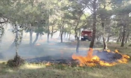 Ormanlık alanda çıkan yangına müdahale ediliyor