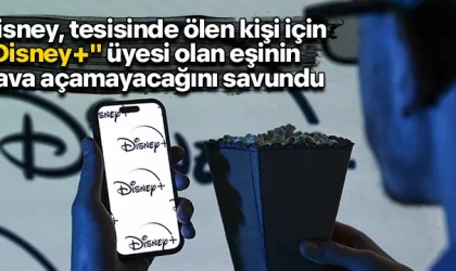 Disney, tesisinde ölen kişi için "Disney+" üyesi olan eşinin dava açamayacağını savundu